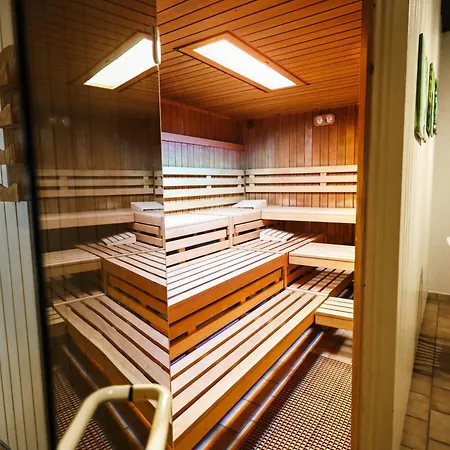 Bergnest Panorama Mit Pool Und Sauna Im Harz Apartment *