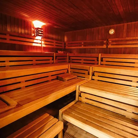 Bergnest Panorama Mit Pool Und Sauna Im Harz Apartment *